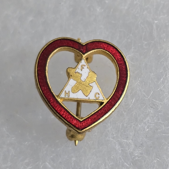 Vintage Loyal Order of the Moose lodge pin red heart gold tone lapel - Picture 2 of 6